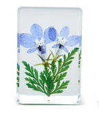 Wildflowers Pressed Floral Keepsake in Gift Box