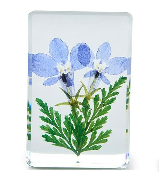 Wildflowers Pressed Floral Keepsake in Gift Box