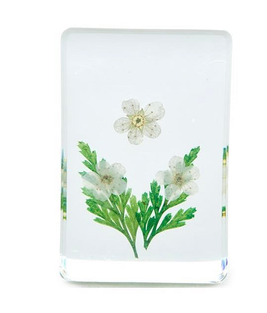 Wildflowers Pressed Floral Keepsake in Gift Box