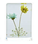 Wildflowers Pressed Floral Keepsake in Gift Box
