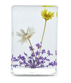 Wildflowers Pressed Floral Keepsake in Gift Box