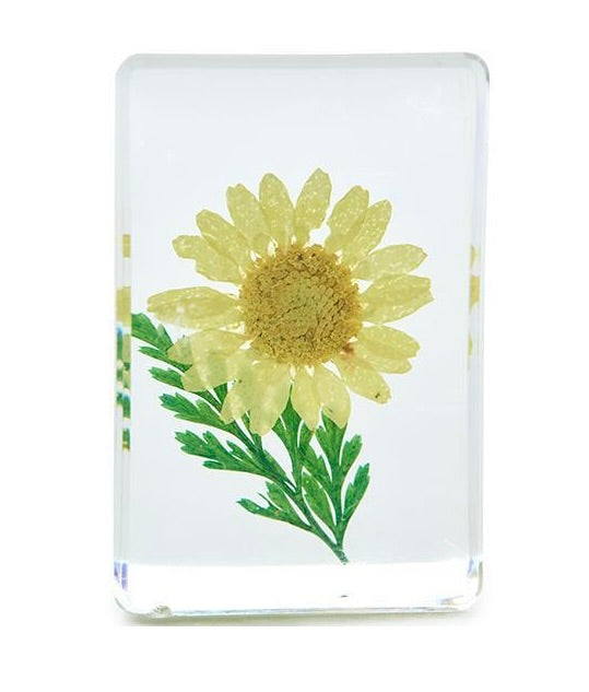 Wildflowers Pressed Floral Keepsake in Gift Box