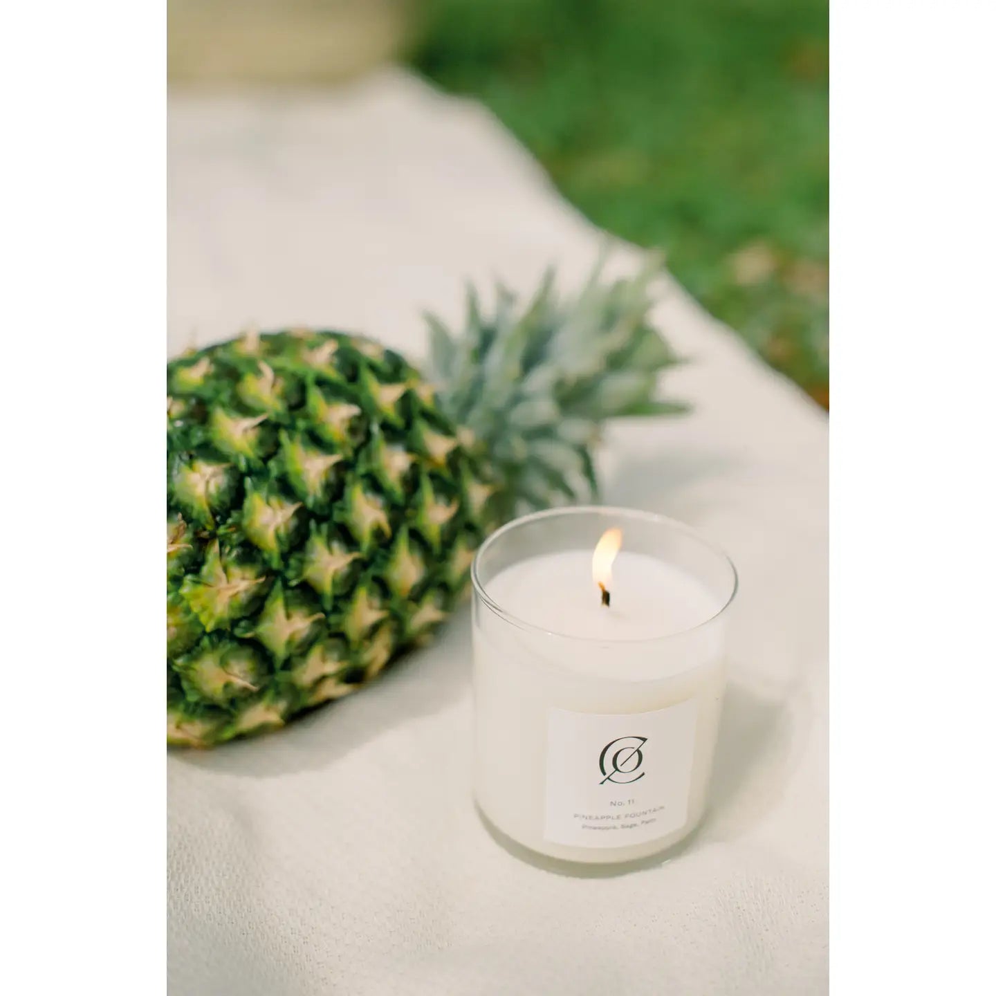 Pineapple Fountain